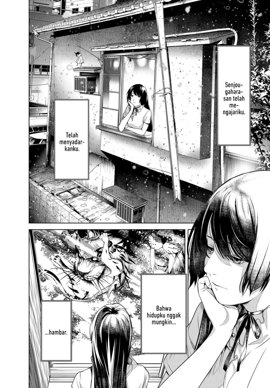 Bakemonogatari Chapter 177 Gambar 5