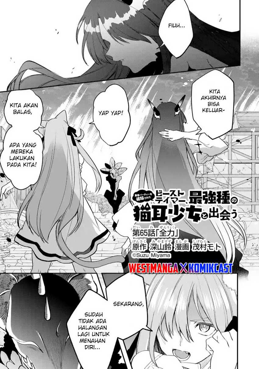  Yuusha Party wo Tsuihou Sareta Beast Tamer, Saikyou Shuzoku Nekomimi Shojo to Chapter 65 gambar nomor 2
