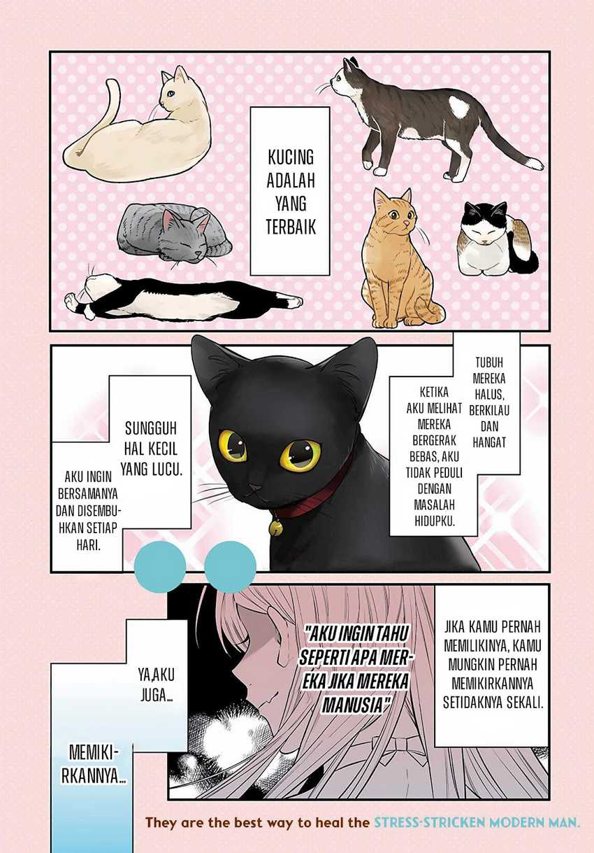 Baca Manga Mi-chan wa Kawaretai Chapter 01 Gambar 2