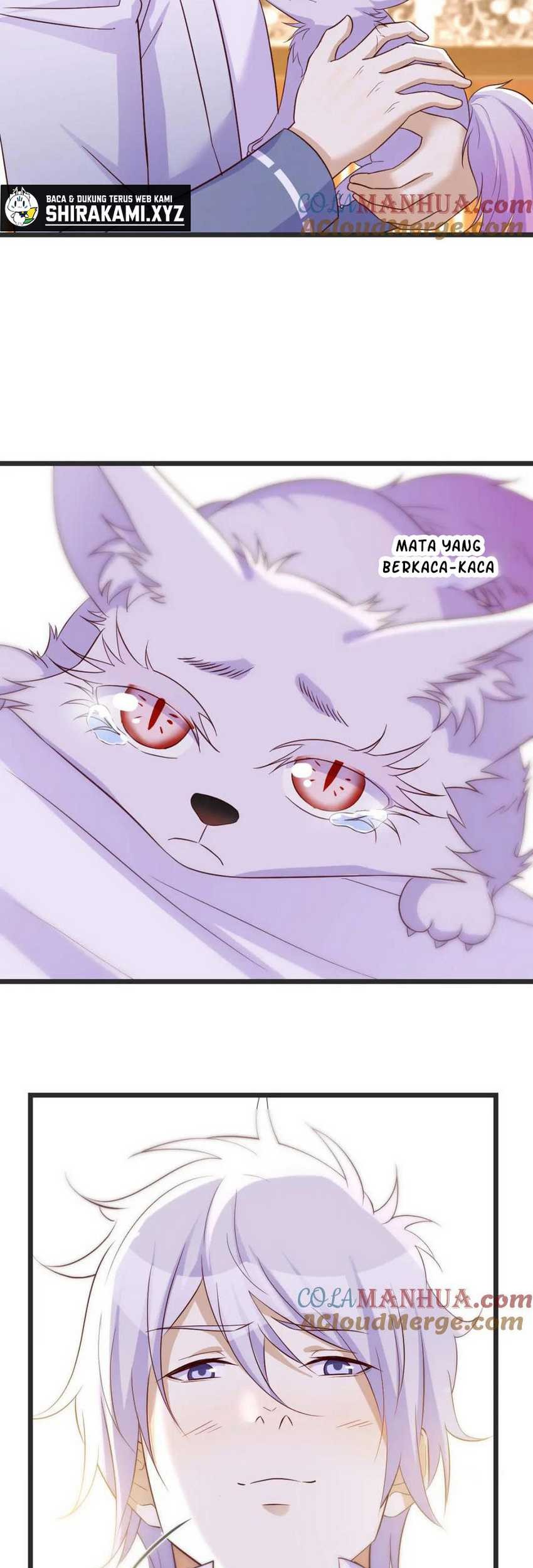 Before Becoming Invincible, Too Many Love Chapter 109 Gambar 15