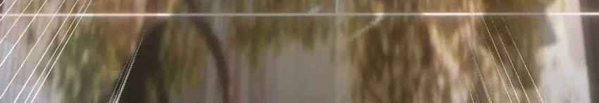 Rise Of The Beast God Chapter 44 Gambar 56