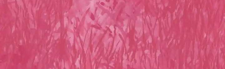 I’m An Evil God Chapter 425 Gambar 15