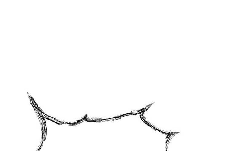 Cruise Chapter 41 Gambar 20