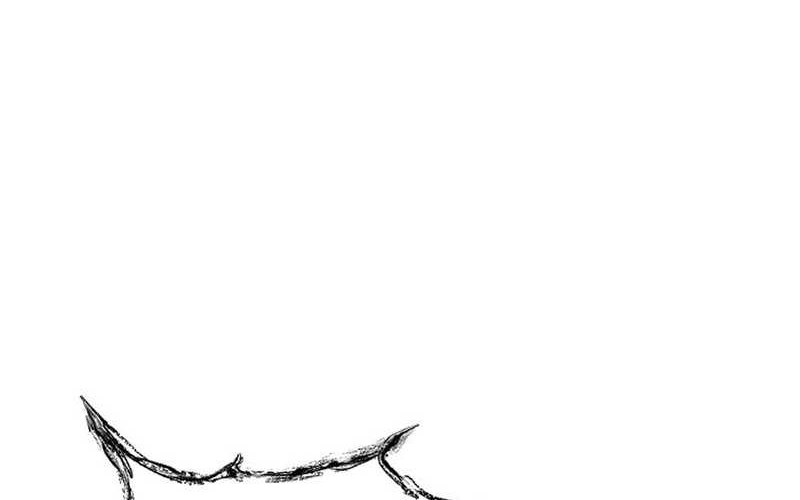 Cruise Chapter 41 Gambar 70