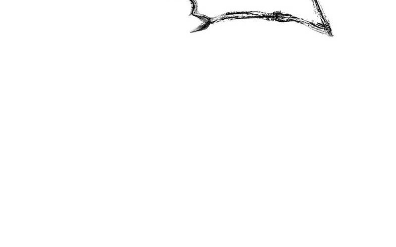 Cruise Chapter 41 Gambar 72