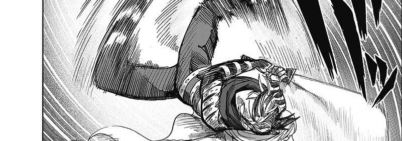 One Punch Man Chapter 248 Gambar 41