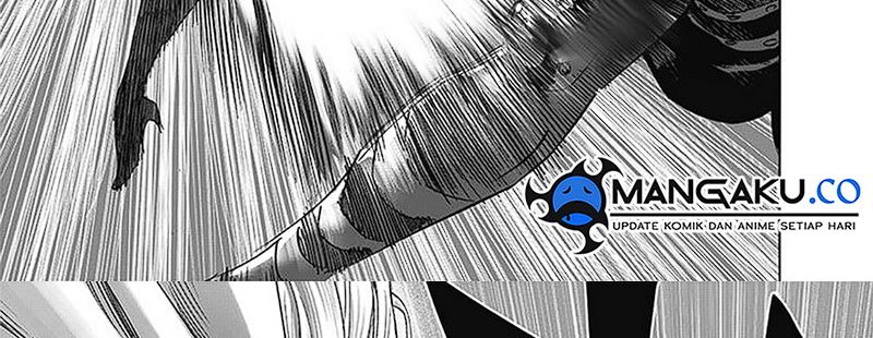 One Punch Man Chapter 247 Gambar 42