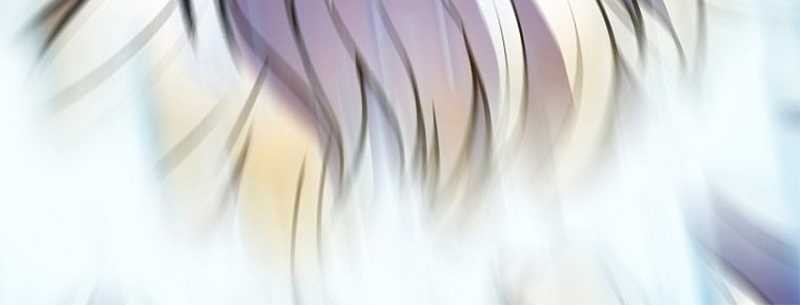 The Flag Bearer Warrior Chapter 50 Gambar 11