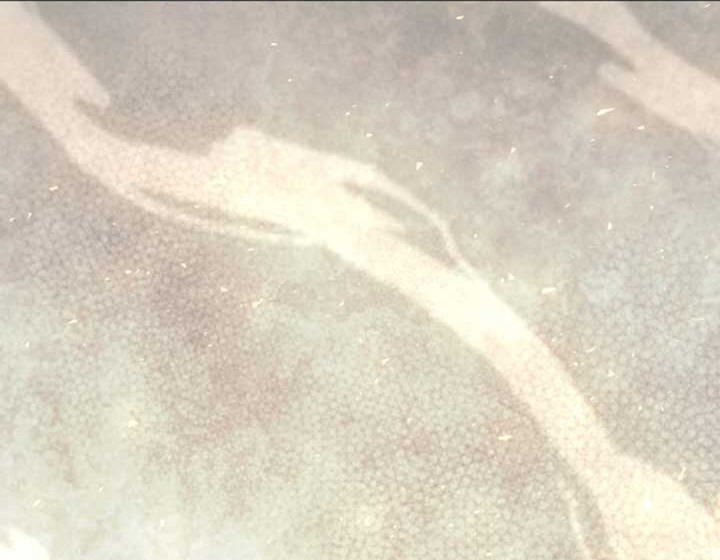 Heavenly Blood Star Chapter 15 Gambar 75
