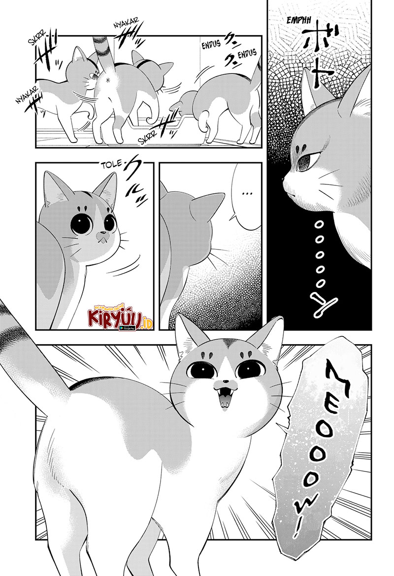 Miyaou Tarou ga Neko wo Kau Nante Chapter 01 Gambar 45