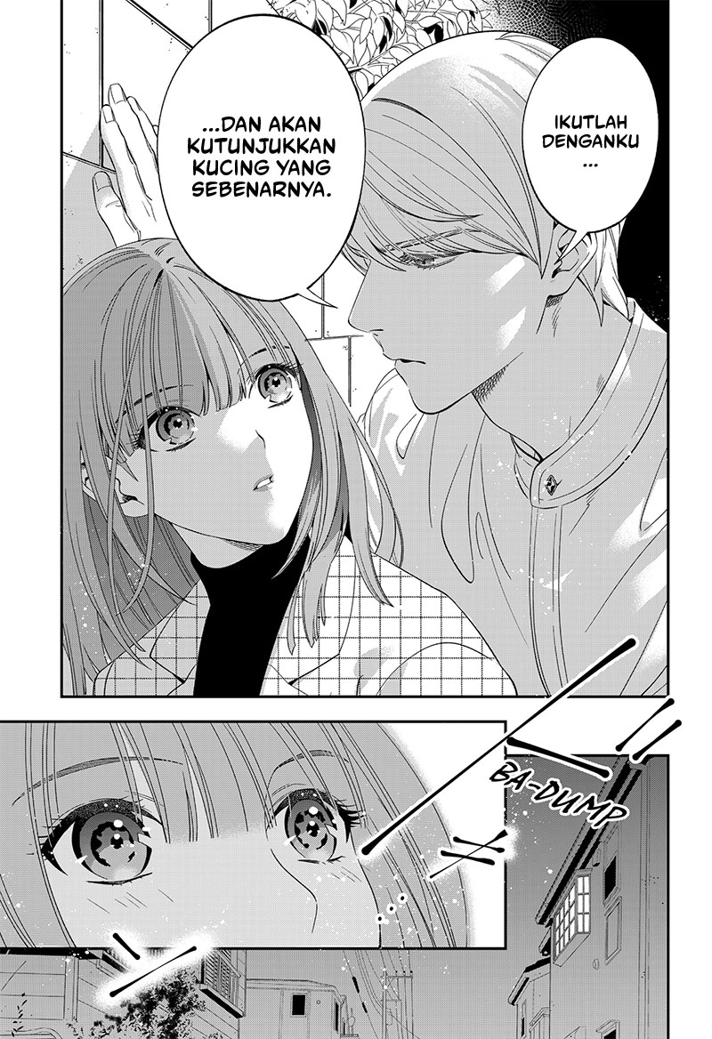Miyaou Tarou ga Neko wo Kau Nante Chapter 03 Gambar 23