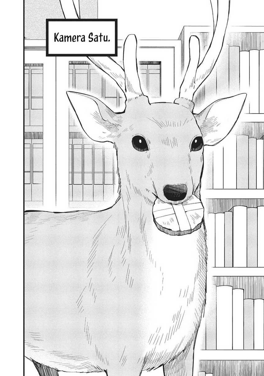 Shikanoko Nokonoko Koshitantan Chapter 17 Gambar 4