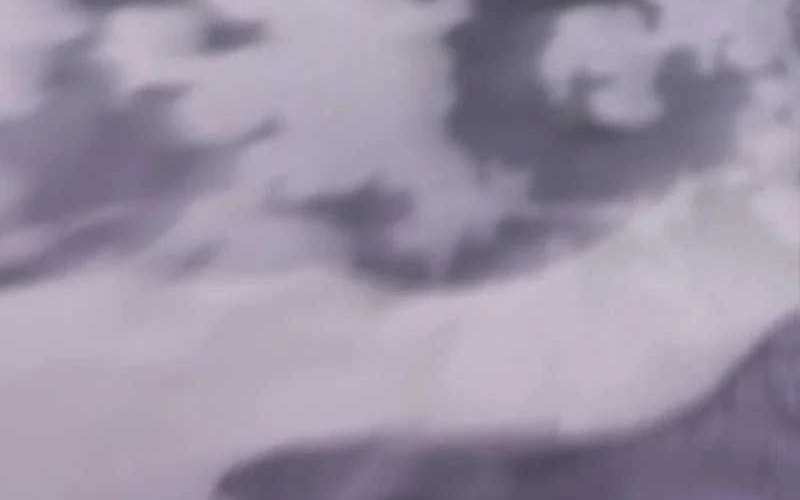 Divine Delivery Chapter 19 Gambar 92