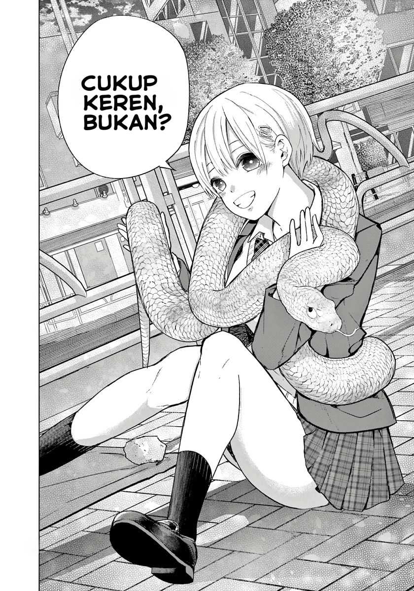 Koibami Shoujo Chapter 04 Gambar 18