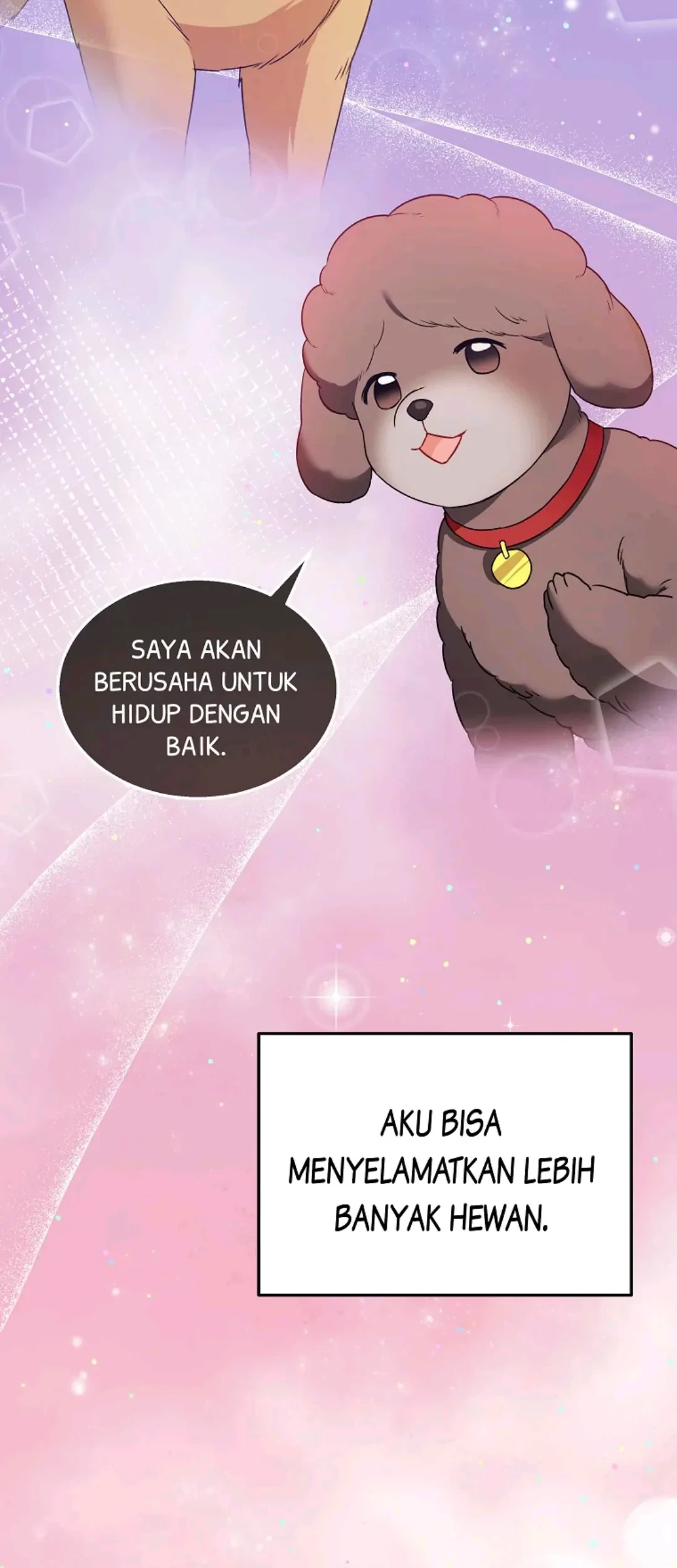 Baca Manhwa Hello? Veterinarian! Chapter 36 Gambar 2