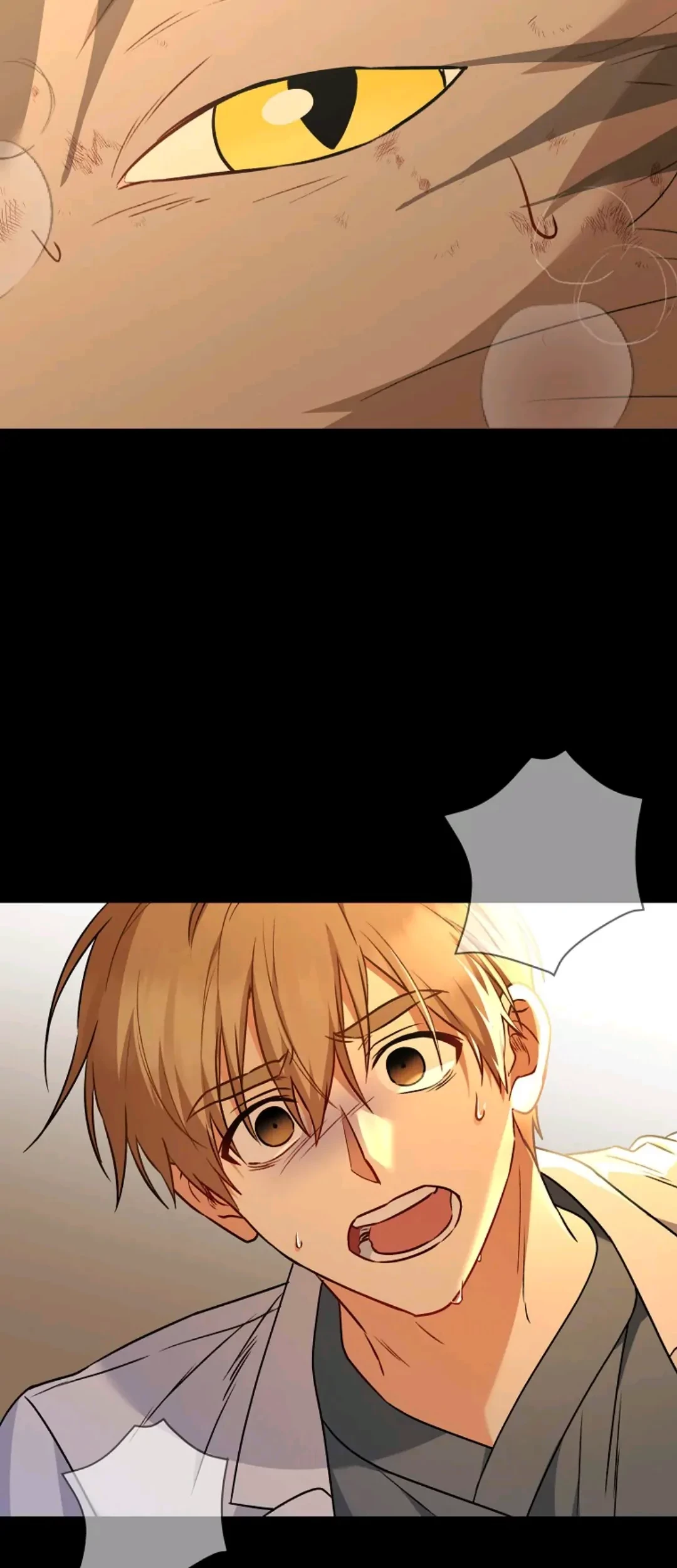 Hello? Veterinarian! Chapter 35 Gambar 48