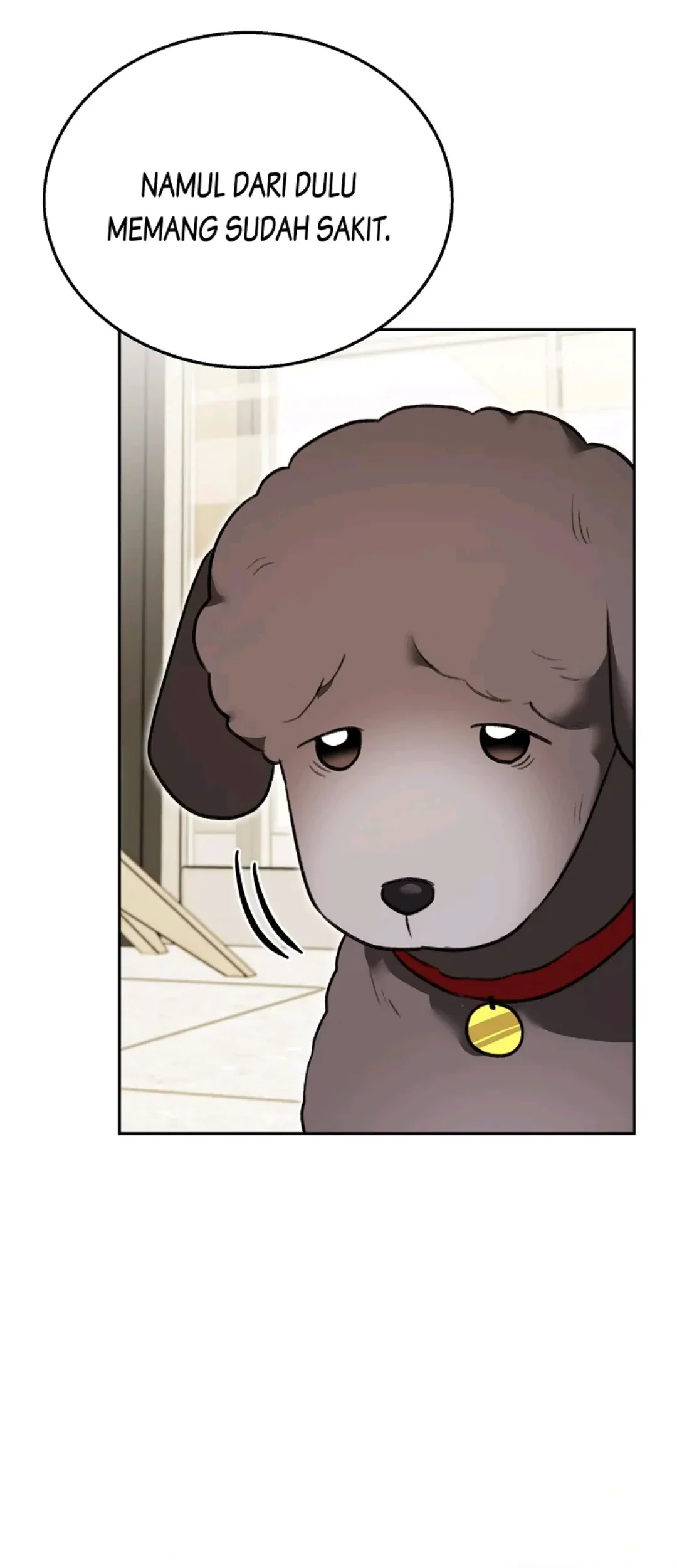 Hello? Veterinarian! Chapter 34 Gambar 12