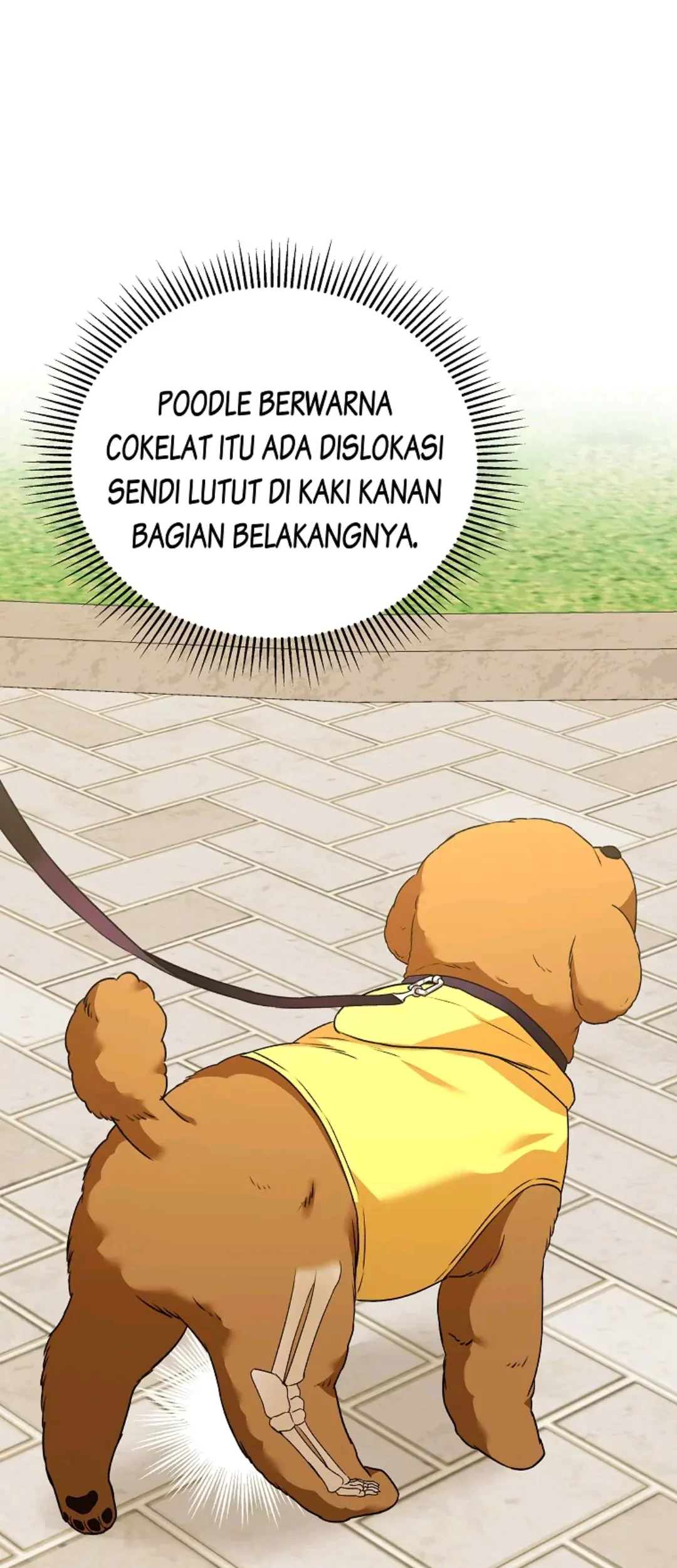 Hello? Veterinarian! Chapter 31 Gambar 25