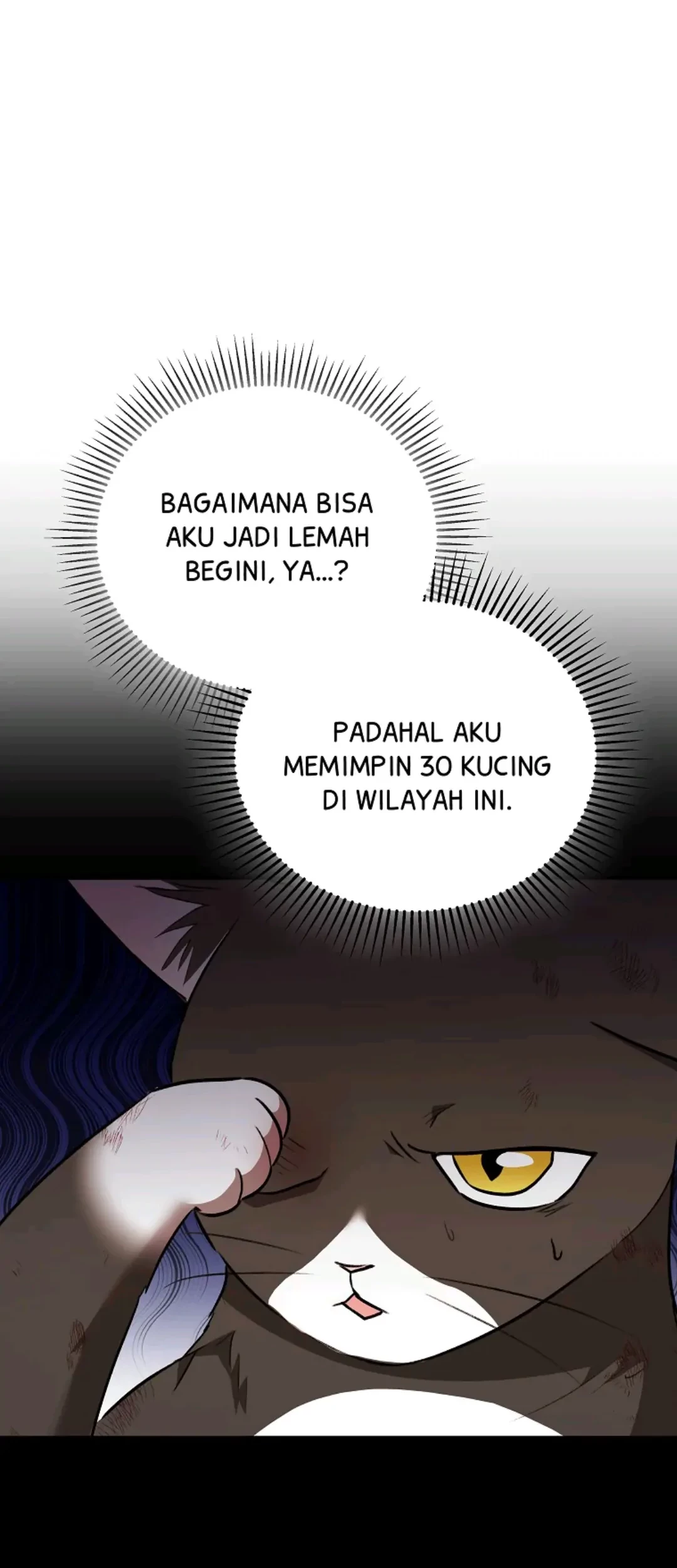 Hello? Veterinarian! Chapter 27 Gambar 56