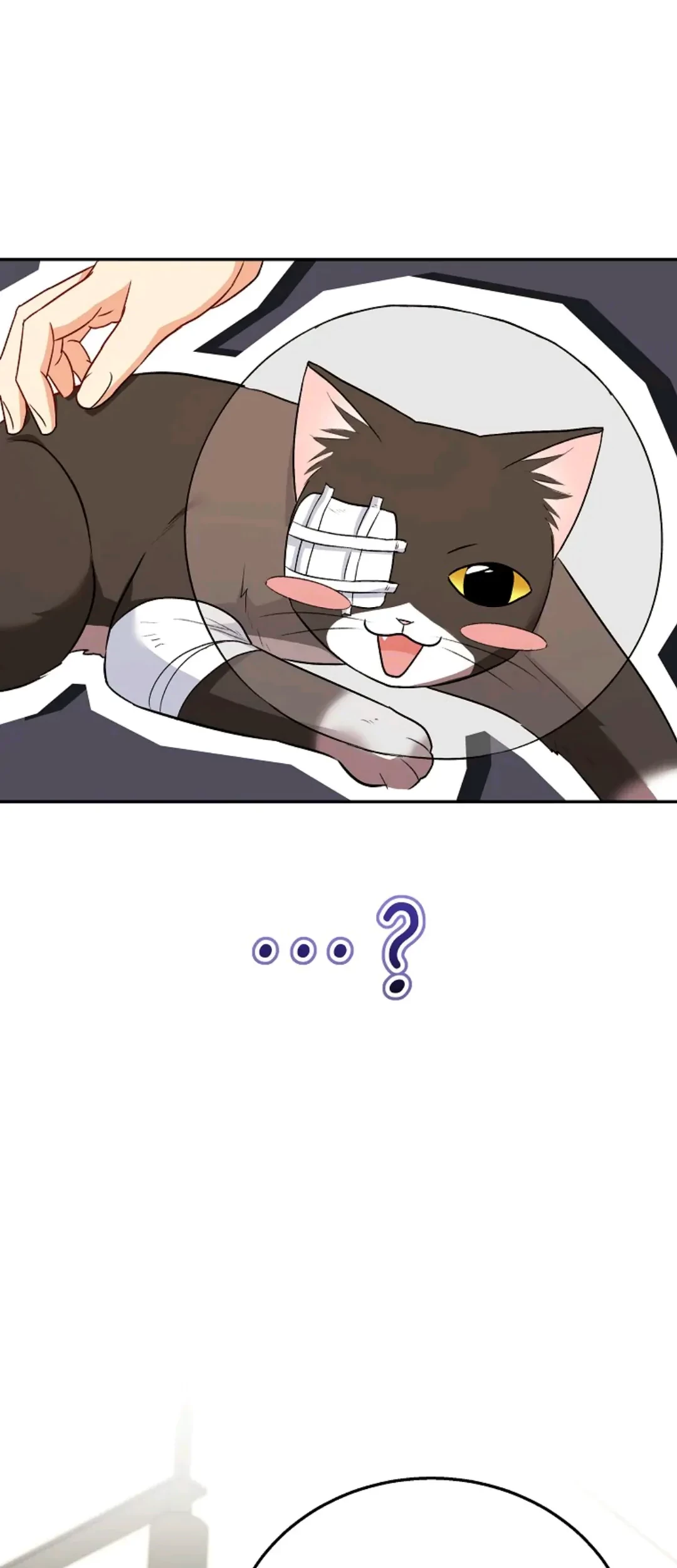 Hello? Veterinarian! Chapter 27 Gambar 80