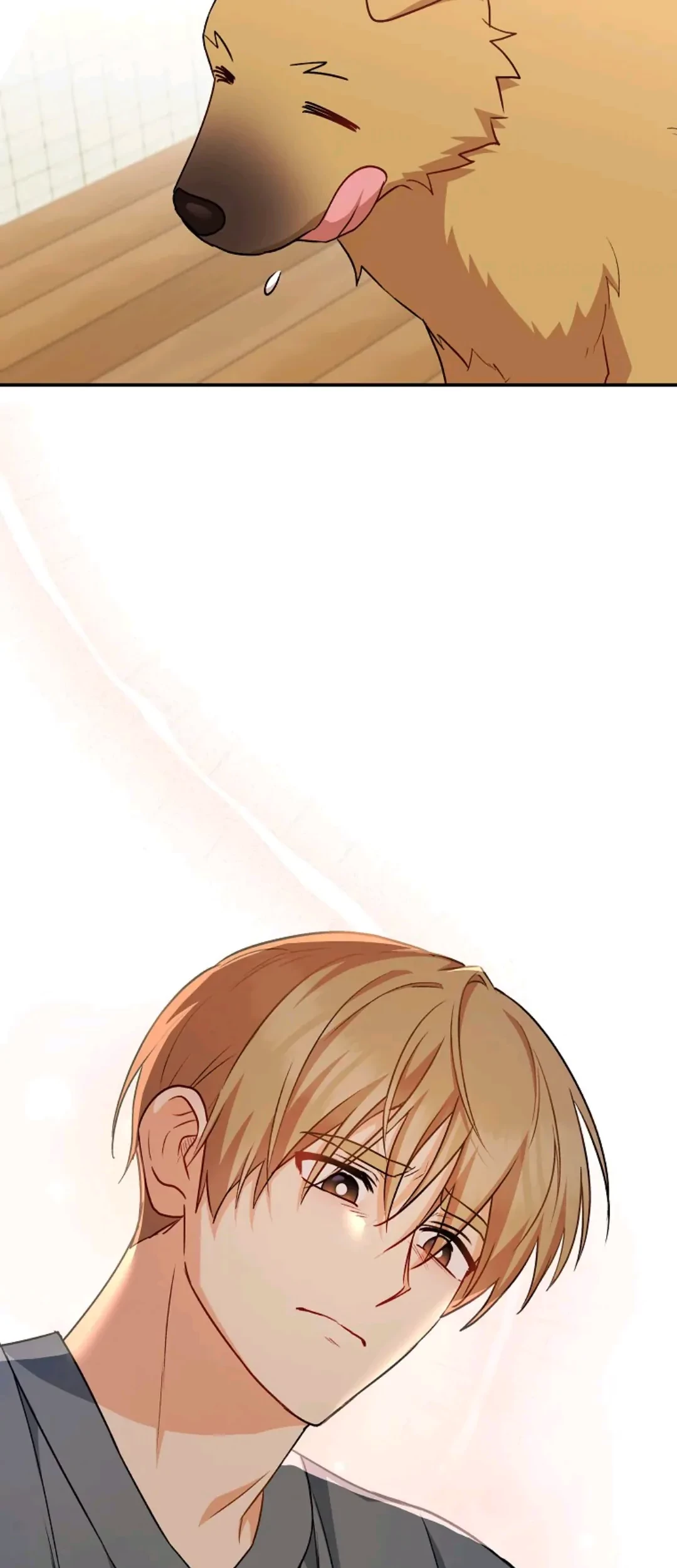 Hello? Veterinarian! Chapter 19 Gambar 45