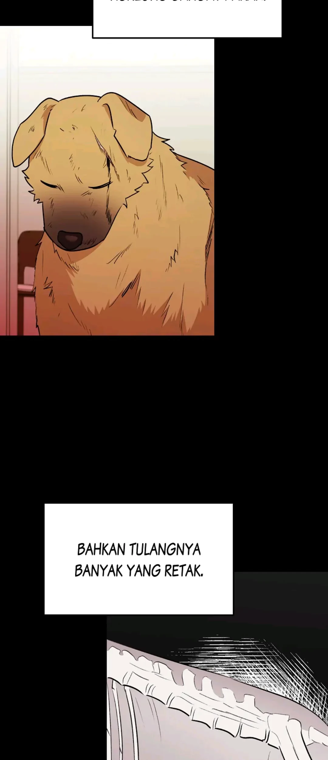 Hello? Veterinarian! Chapter 17 Gambar 27