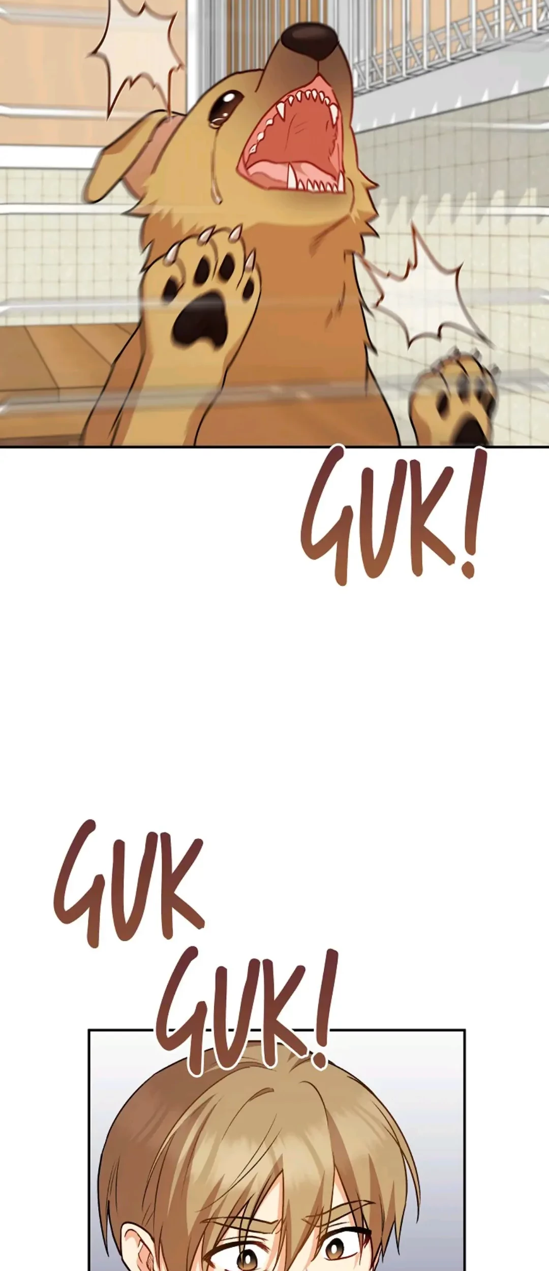 Hello? Veterinarian! Chapter 17 Gambar 78