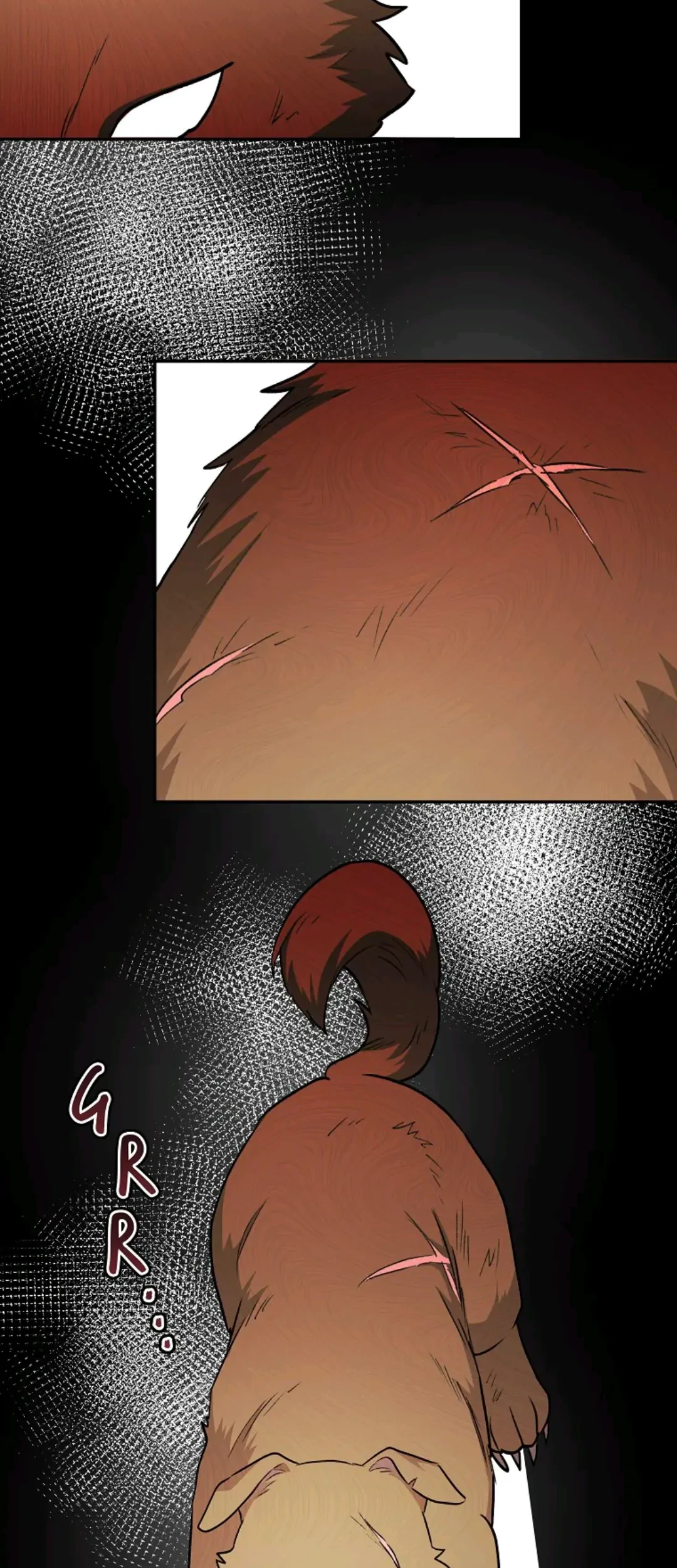 Hello? Veterinarian! Chapter 17 Gambar 12