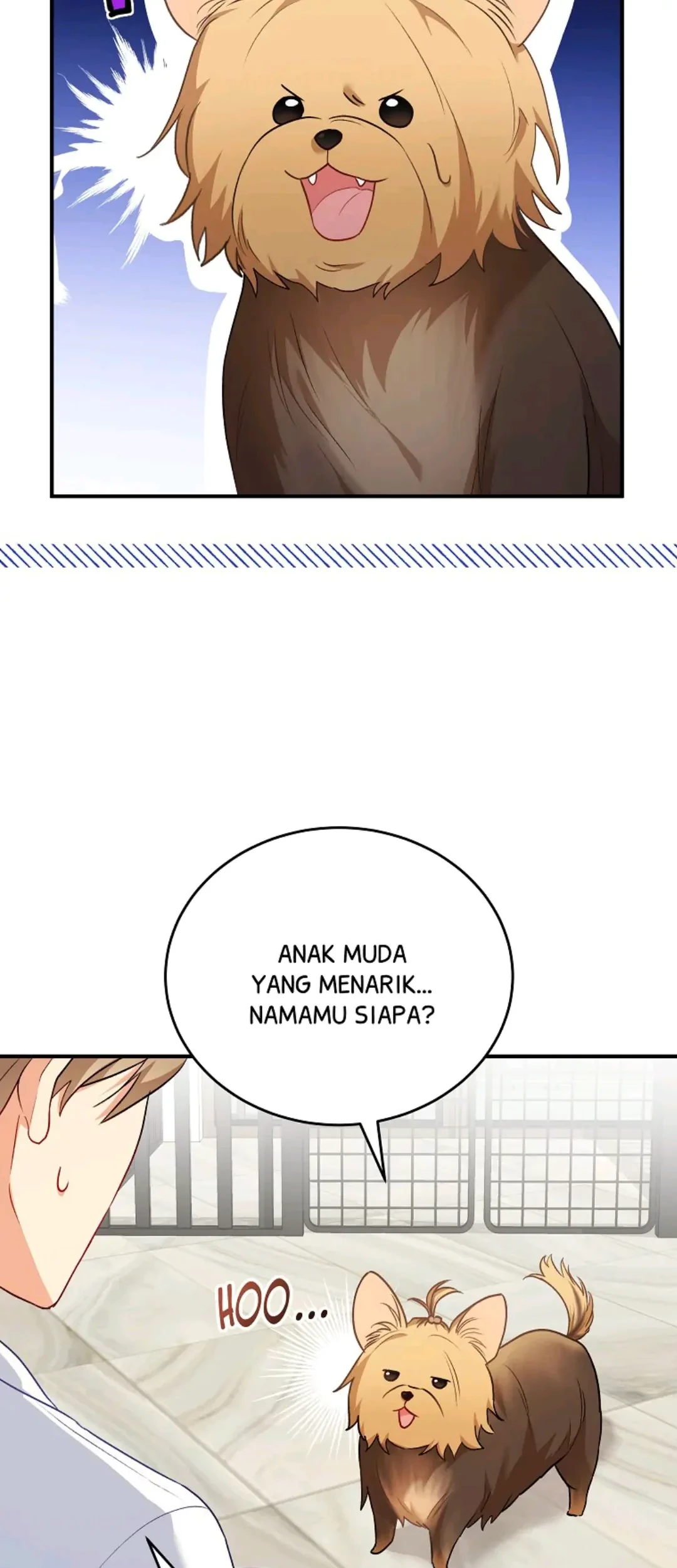 Hello? Veterinarian! Chapter 02 Gambar 52