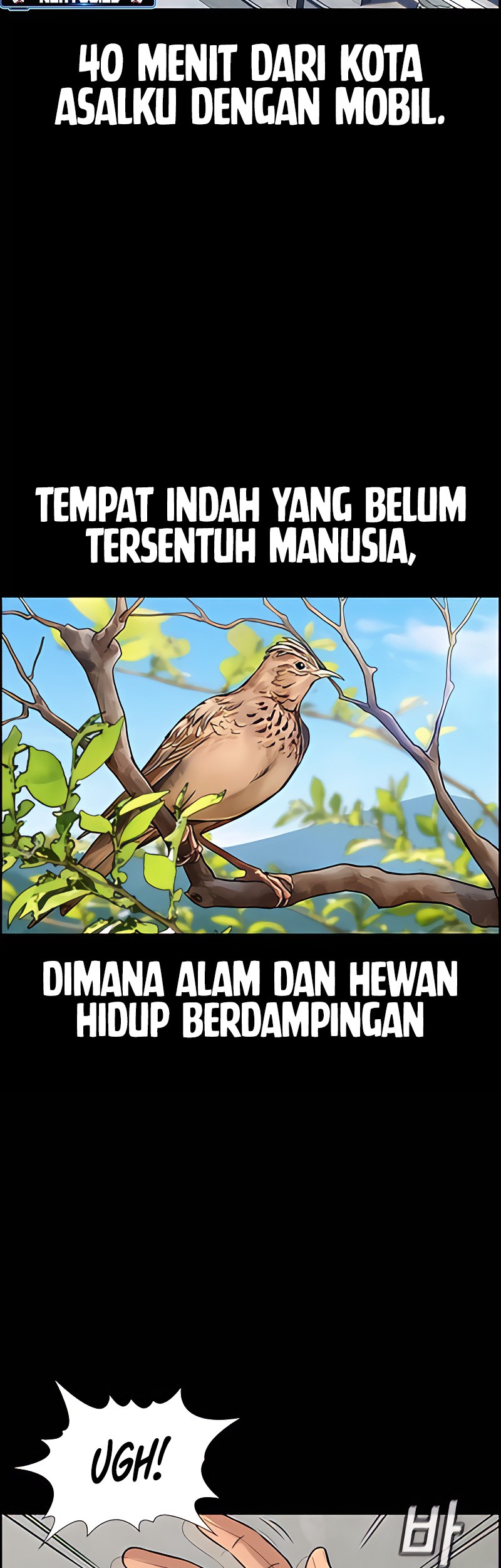 True Education Chapter 133 Gambar 12