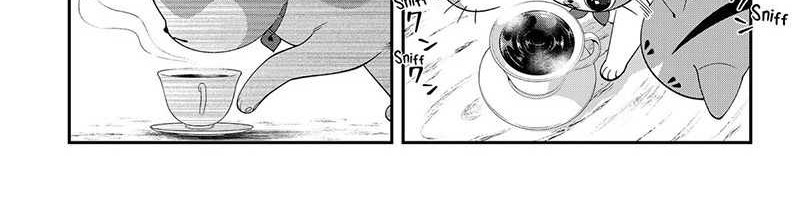 Miyaou Tarou ga Neko wo Kau Nante Chapter 08 Gambar 8