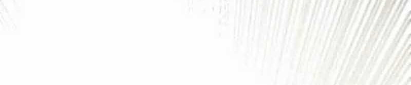 I Have 90 Billion Licking Gold Chapter 311 Gambar 19