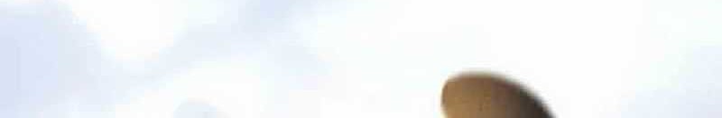 I Have 90 Billion Licking Gold Chapter 310 Gambar 15