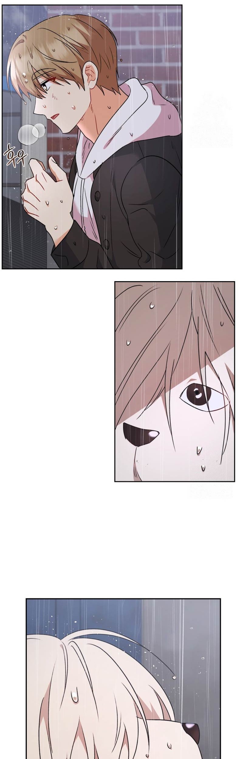 Hello? Veterinarian! Chapter 59 Gambar 41