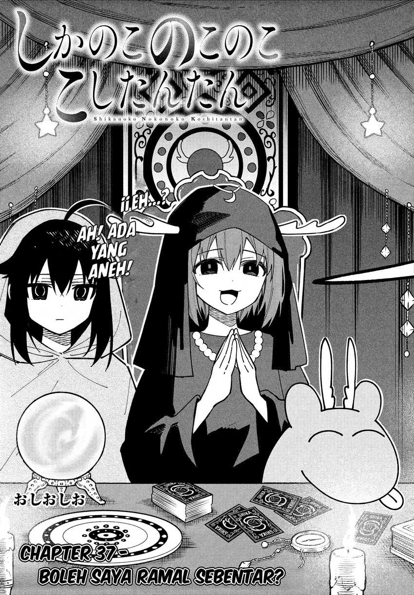 Shikanoko Nokonoko Koshitantan Chapter 37 Gambar 4