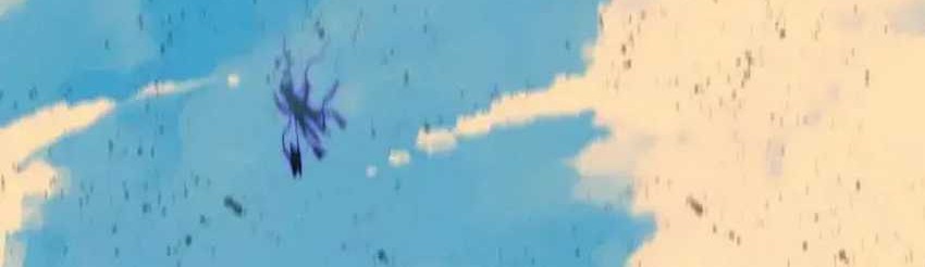 Brave X Devil Queen Chapter 56 Gambar 11