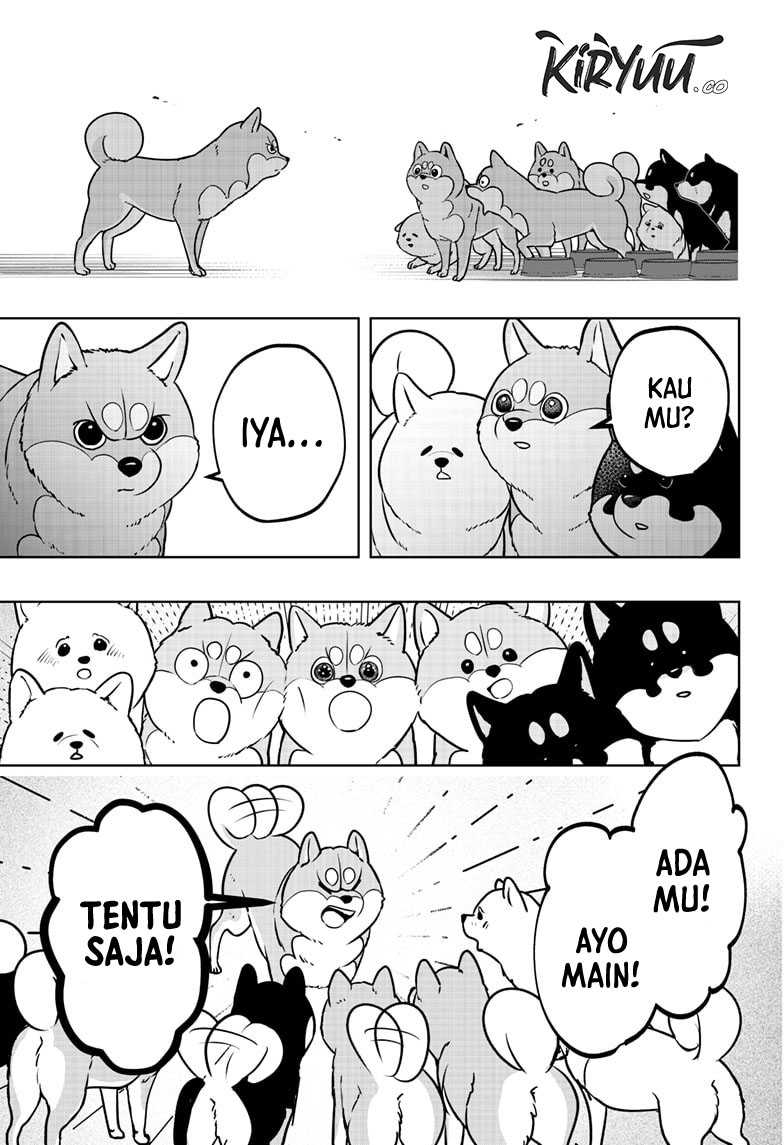 Shiba-Tsuki Bukken Chapter 10 Gambar 10