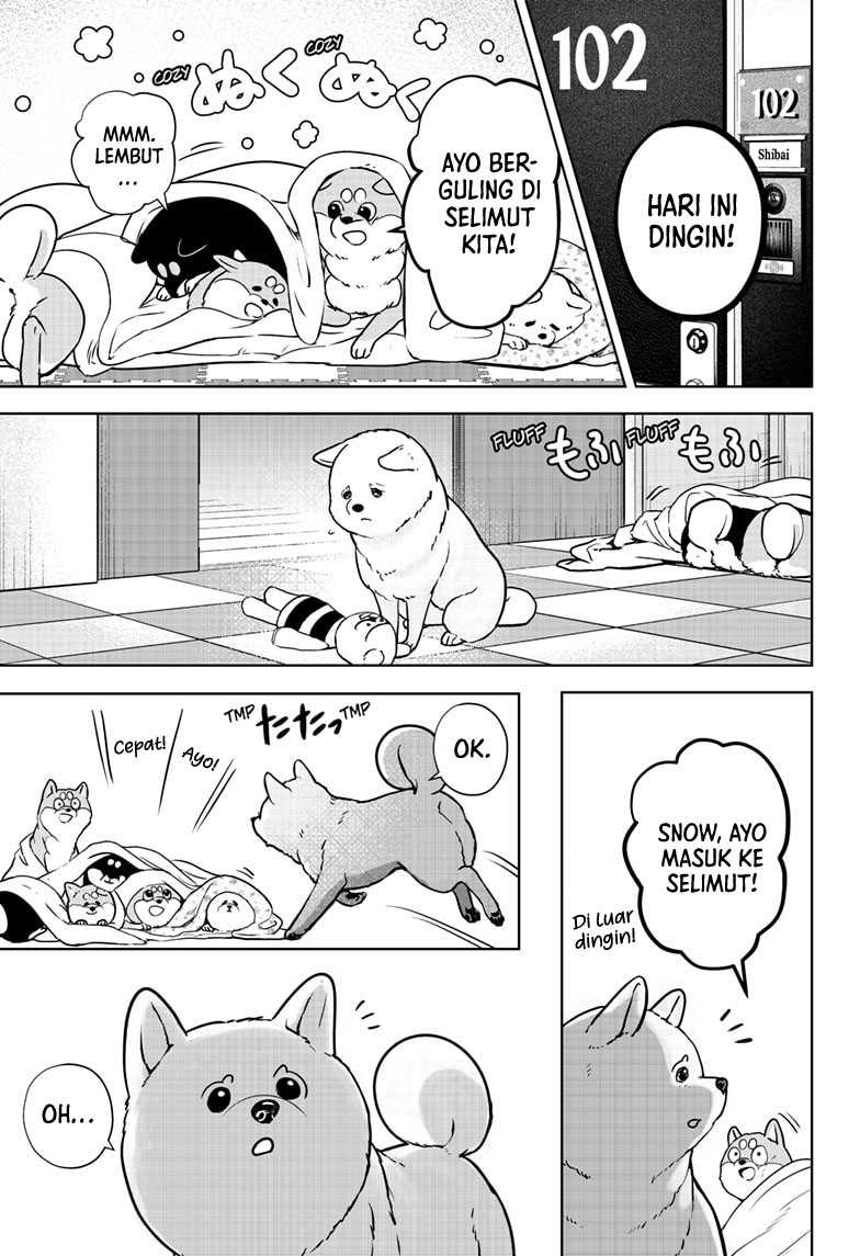 Shiba-Tsuki Bukken Chapter 10 Gambar 20