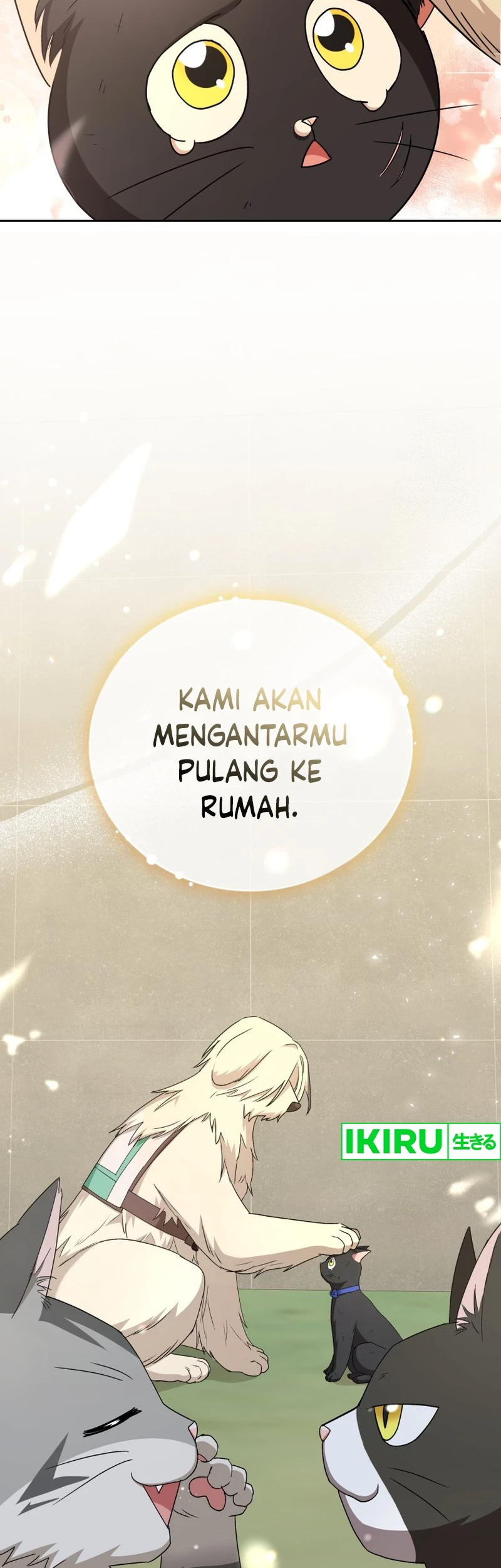 Hello? Veterinarian! Chapter 77 Gambar 54