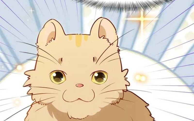 Scoring the Sacred Body of the Ancients from the Get-go Chapter 81 Gambar 4