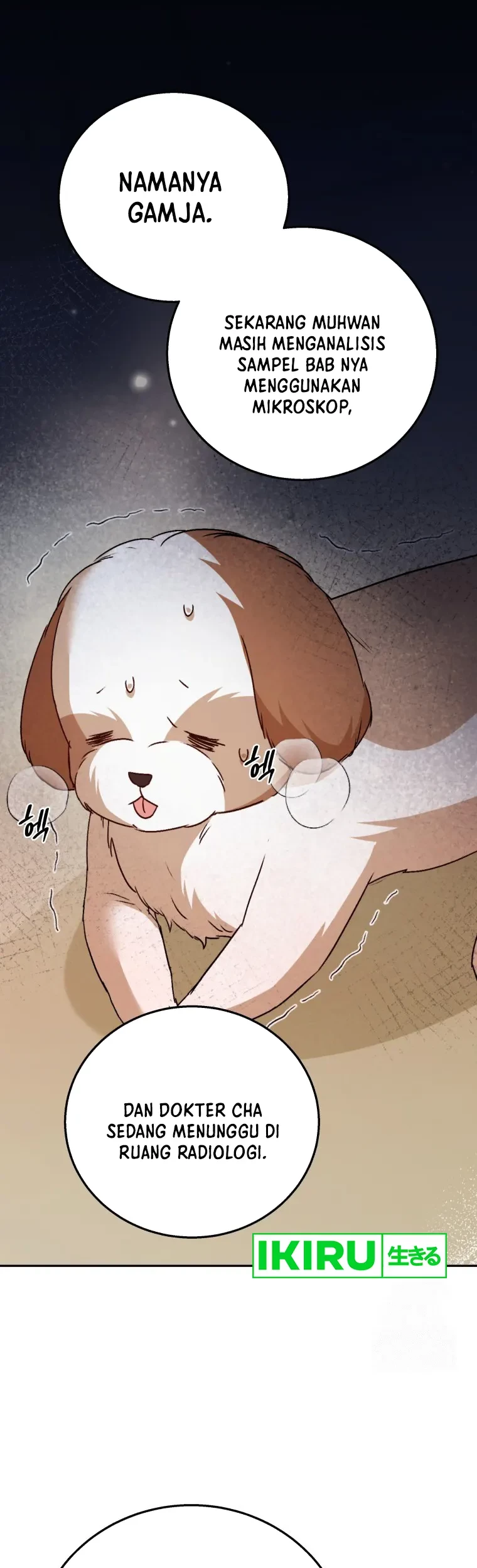 Baca Manhwa Hello? Veterinarian! Chapter 80 Gambar 2