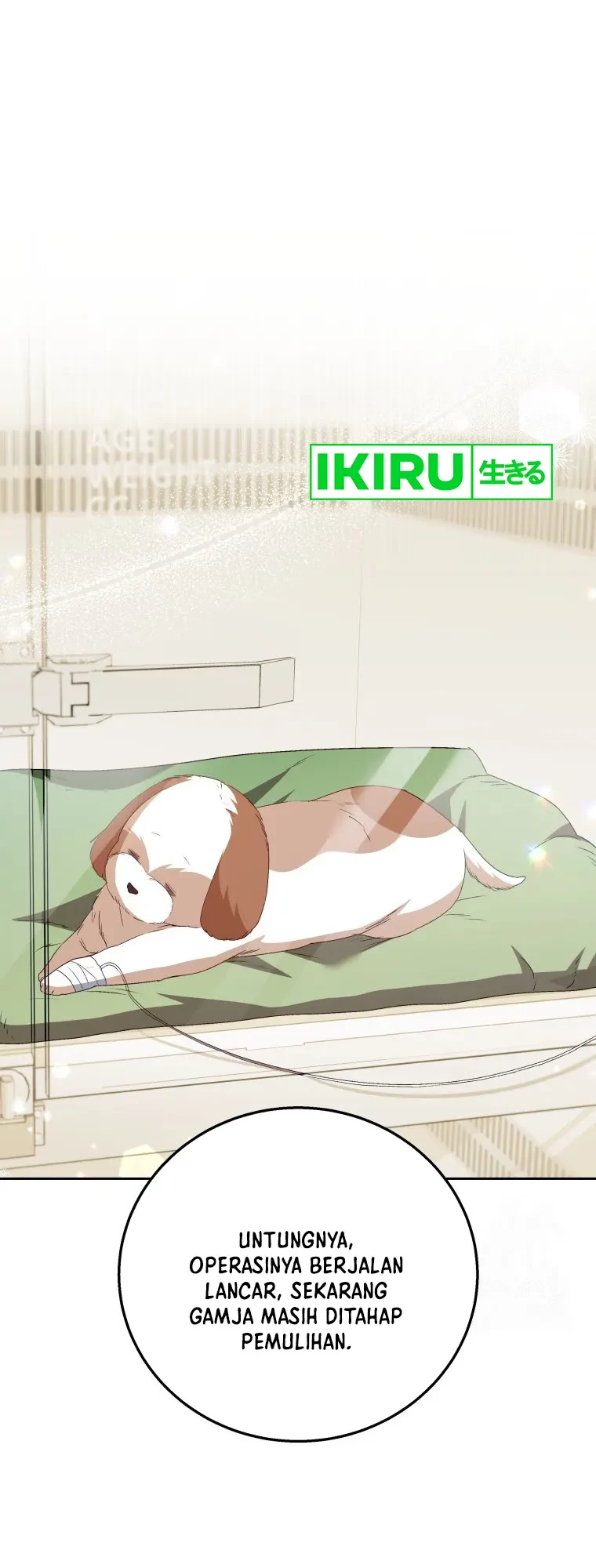 Hello? Veterinarian! Chapter 80 Gambar 31