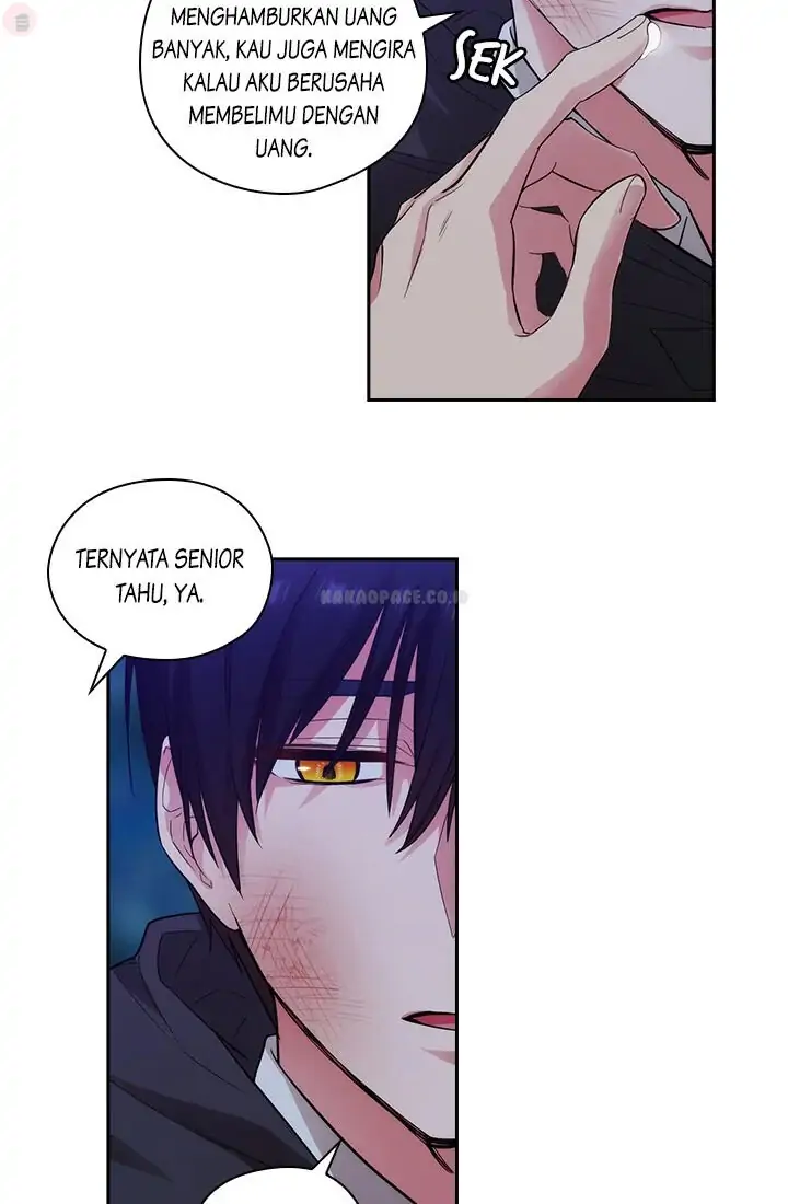 ADONIS Chapter 162 Gambar 18