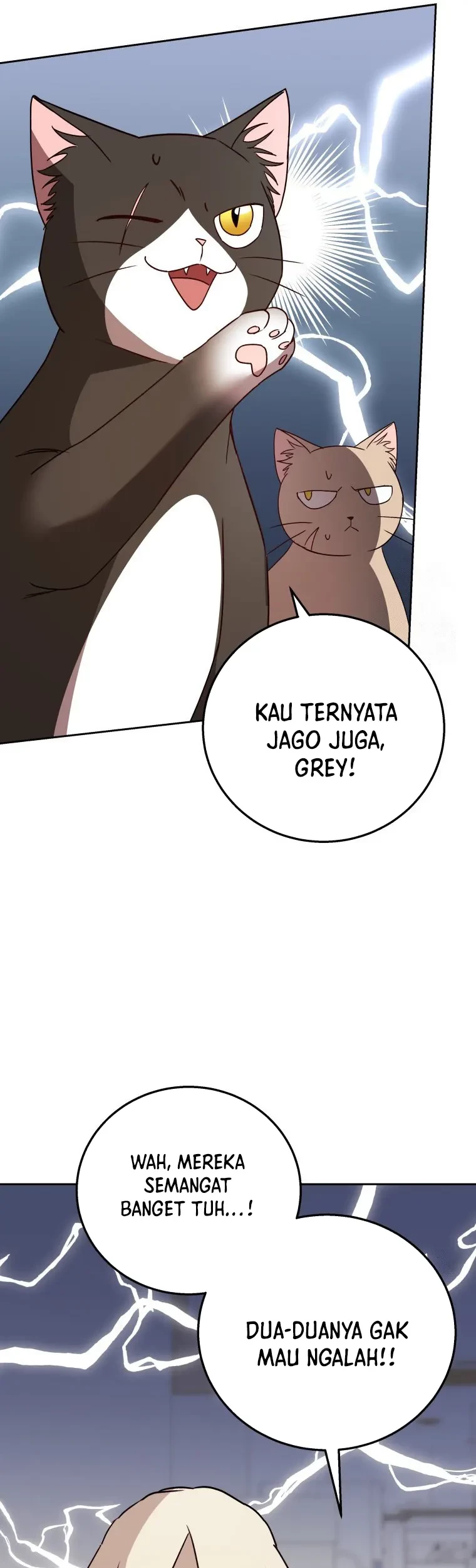 Hello? Veterinarian! Chapter 81 Gambar 47