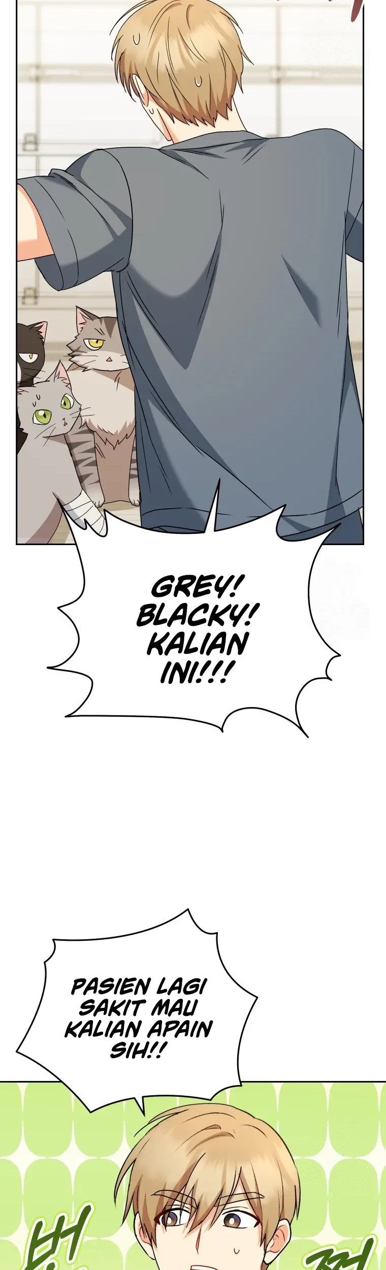 Hello? Veterinarian! Chapter 81 Gambar 50