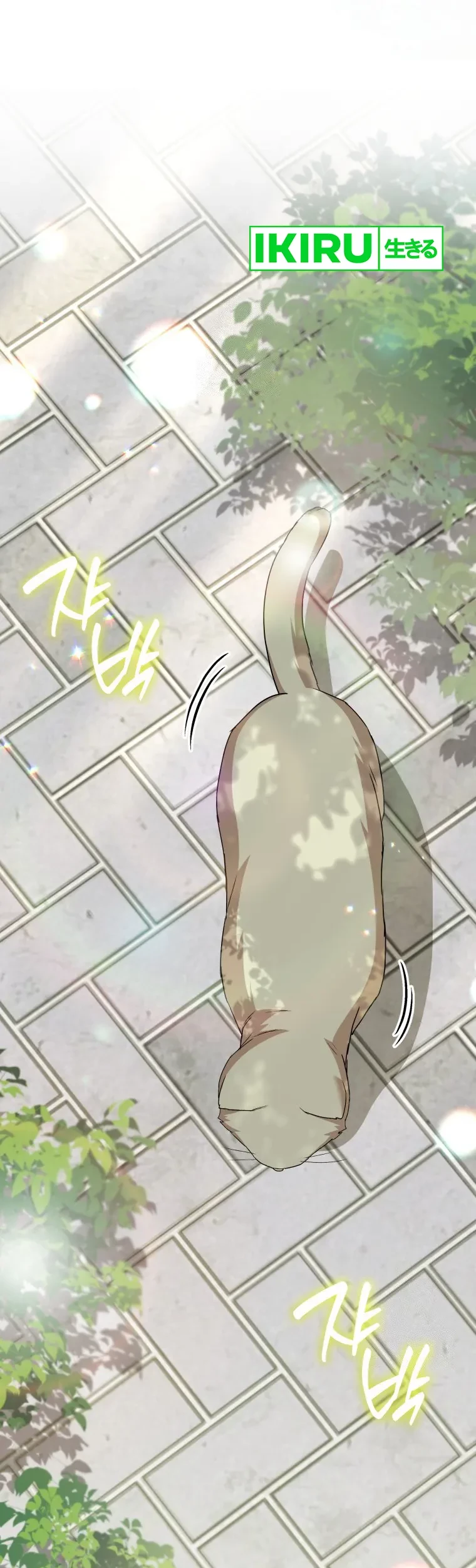 Baca Manhwa Hello? Veterinarian! Chapter 81 Gambar 2