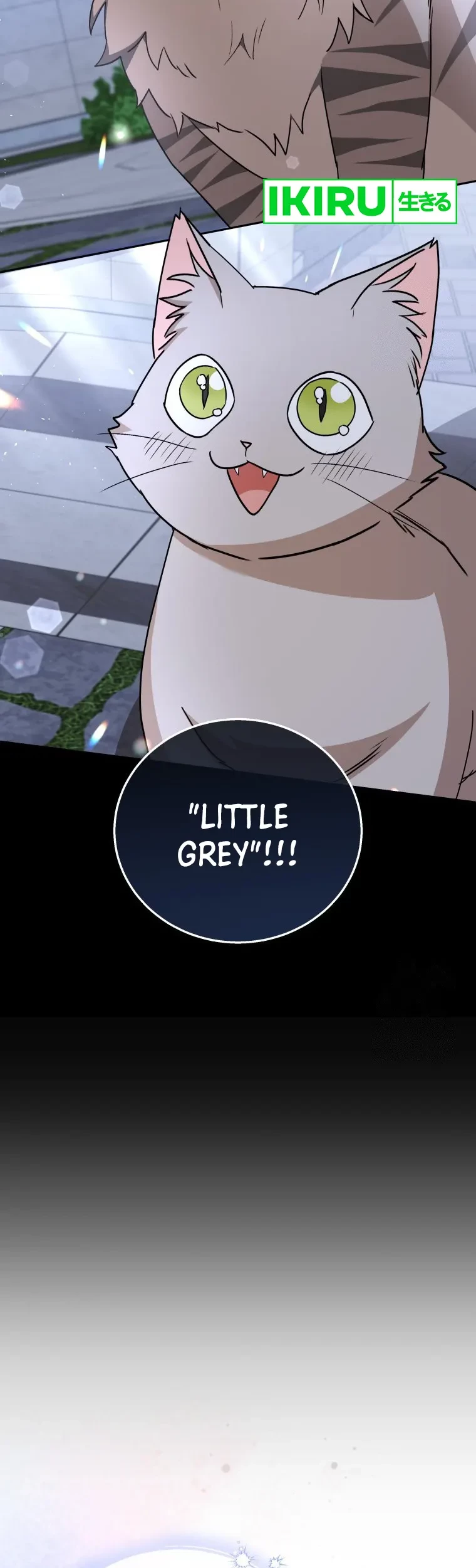 Hello? Veterinarian! Chapter 81 Gambar 9