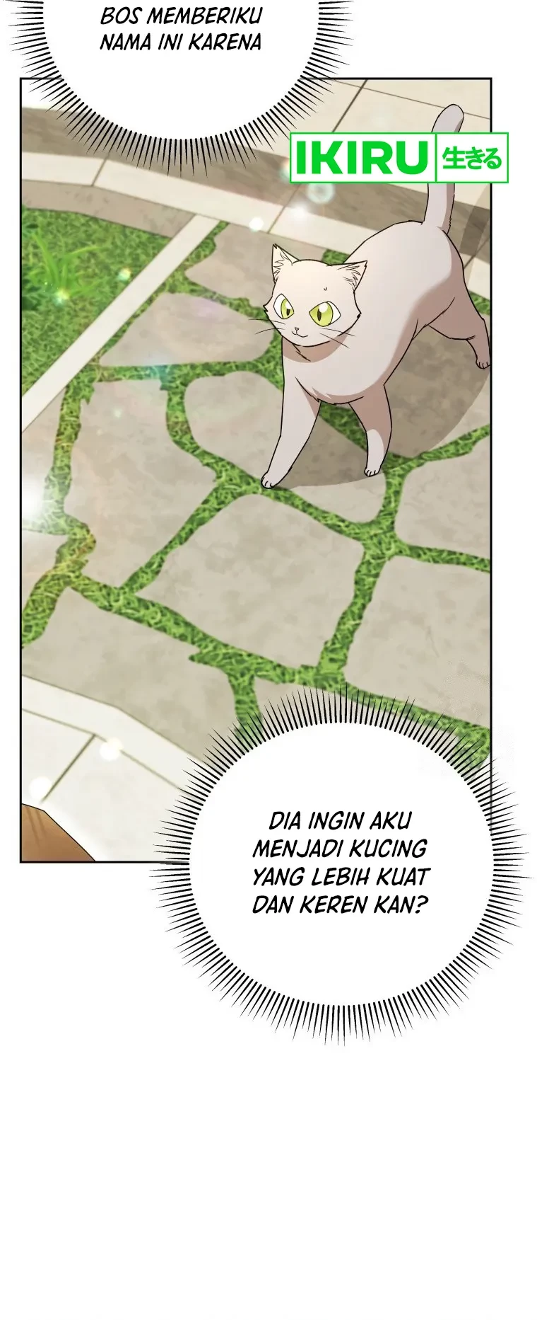Hello? Veterinarian! Chapter 81 Gambar 11