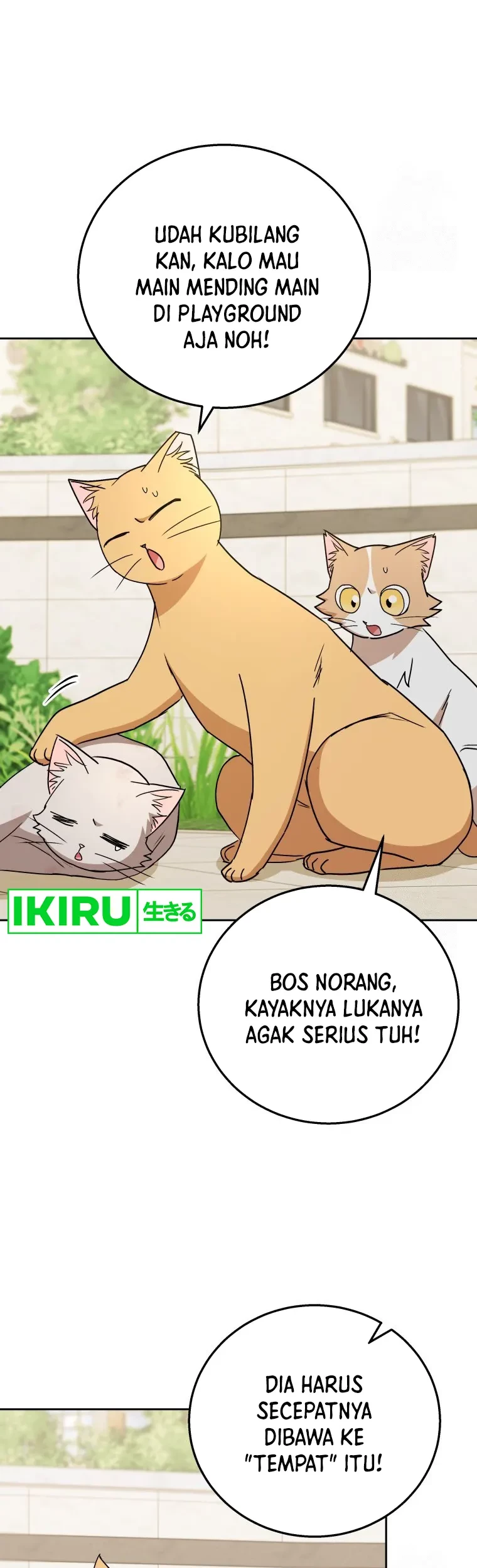 Hello? Veterinarian! Chapter 81 Gambar 17