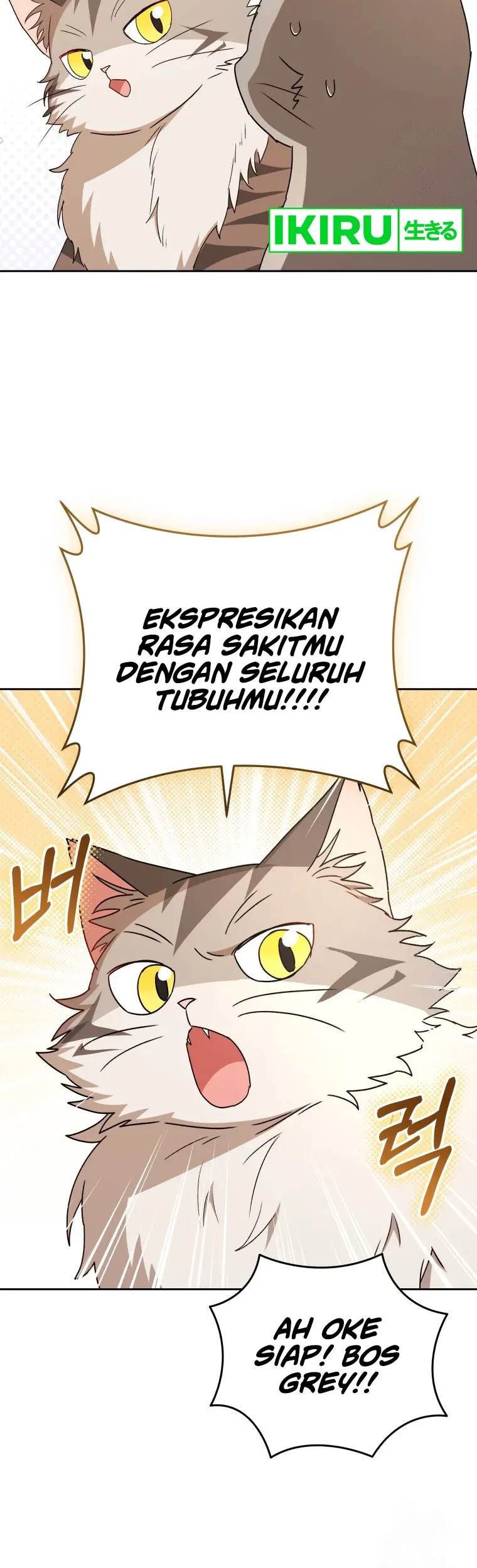 Hello? Veterinarian! Chapter 81 Gambar 34